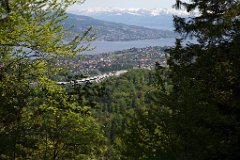 Üetliberg_04