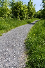 Uetliberg